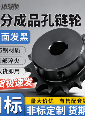 6分12A链轮成品孔SP60B10 11 12 13 14 15 16 17 18 20 VLK02-60