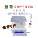 种子催芽盒培养箱智能控温快速发芽多功能发豆芽育苗箱 风后岭新款
