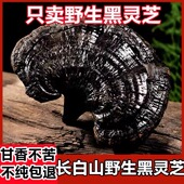 黑灵芝野生长白山500克灵芝切片林芝干货整朵正品 泡酒灵芝养生茶