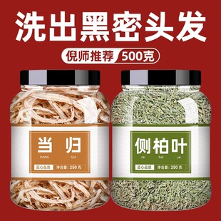 侧柏叶当归中药材洗发500g茶包泡水何首乌干姜中药新鲜非野生