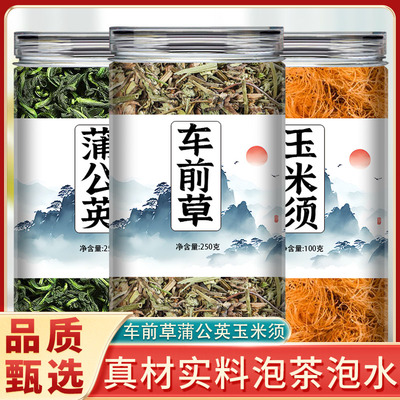 车前草蒲公英玉米须茶中药材正品特级野生官方旗舰店纯干货泡水喝