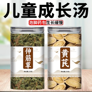 伸筋草黄芪新鲜干货正品中药材泡茶煮水喝的功效与作用加养生原料