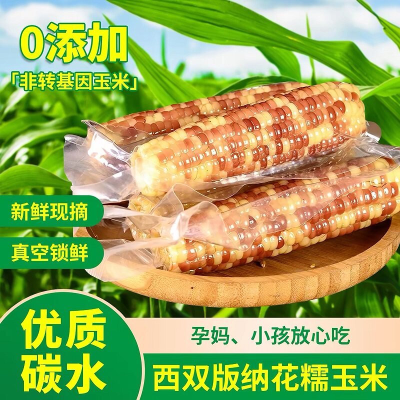 西双版纳香糯小玉米小花糯玉米新鲜现摘即食真空装甜玉米棒子早餐