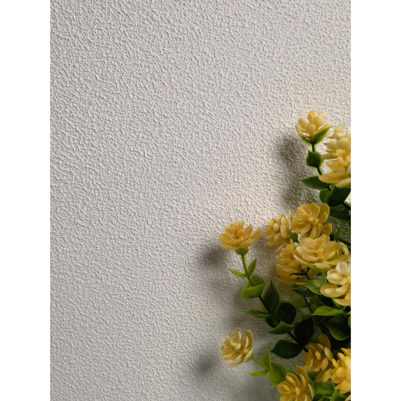 万磊五合一骨浆拉毛肌理漆浮雕内外墙弹涂质感家装工装墙面艺术漆