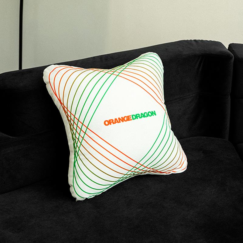 OD/ORANGEDRAGON 25夏 磁场螺旋印花黑白双面荷兰绒异形抱枕靠枕