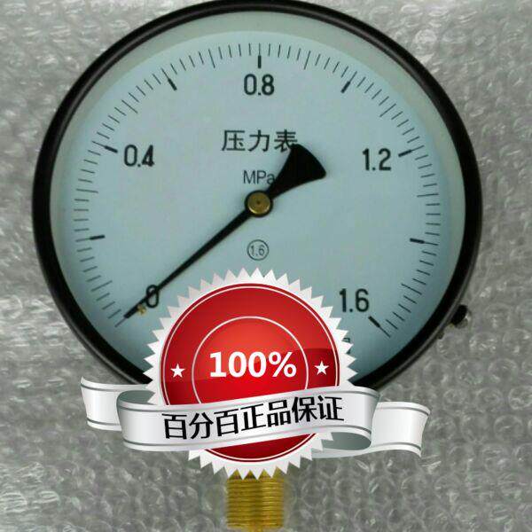 雷尔达压力表 y-100 表盘100mm 压力0-1.6mpa 安装螺纹m20x1.5