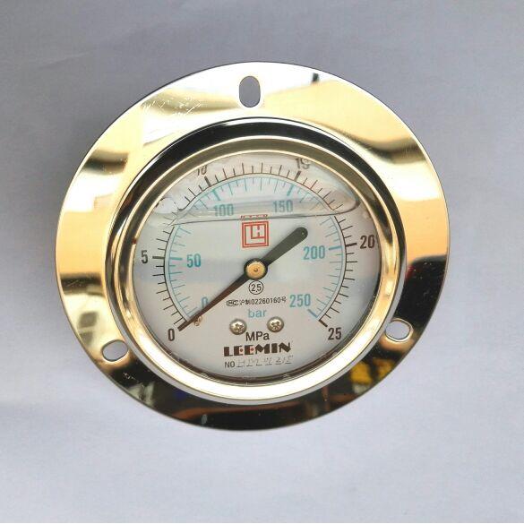 轴向带边耐震压力表 YN-63IV 25mpa G1/4 250bar LEEMIN 63mm