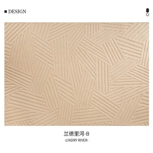 大面积满C铺地垫可擦免洗硅藻丝沙发茶几毯 客厅地毯卧室2023新款
