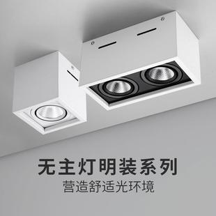 双头无主灯斗胆灯全光谱护眼盒子格栅筒灯防眩光客厅卧射灯 明装