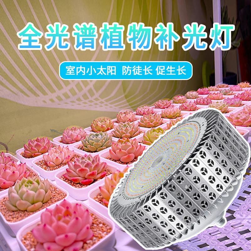 星锐多肉补光灯家用上色 全光谱植物生长灯补光灯 绿植花卉补光灯