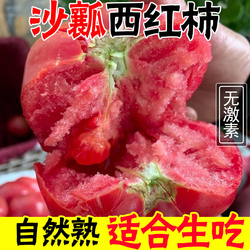 云南露天沙瓤西红柿自然熟生吃西红柿新鲜现摘现发农家自种西红柿
