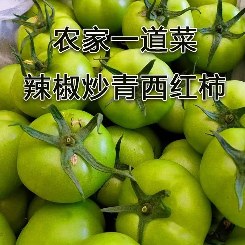 整箱5斤云南青番茄炒菜西红柿新鲜未成熟现摘酸甜青皮农家蔬菜农