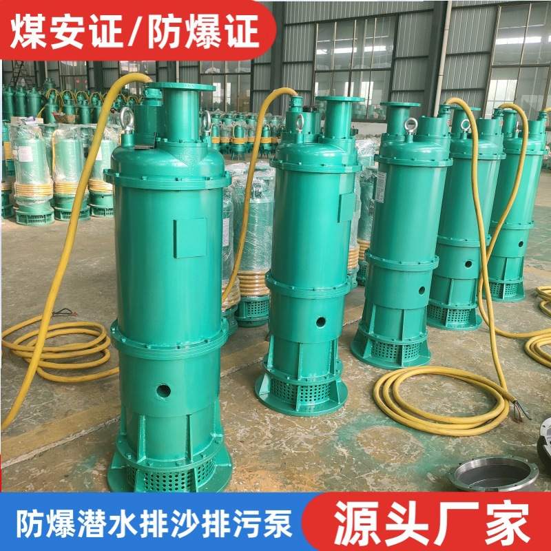 BQS矿用隔爆型潜水排沙泵380v660v1140v煤矿用防爆潜水泵煤安认证