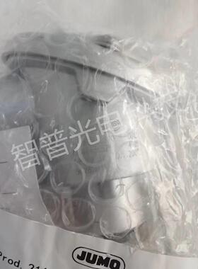 JUMO久茂铂热电阻一体化温度探头902810/13系列TN48456529