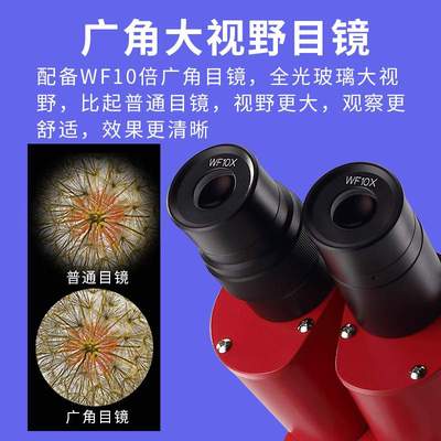 舜宇双目儿童显微镜光学 小学生生物科学 迷小便携式迷你实验室用