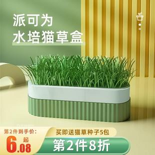 。cat grass hydroponic box pie can be potted seeds for young