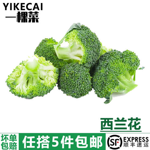 500g西兰花yikecai任搭5件包邮
