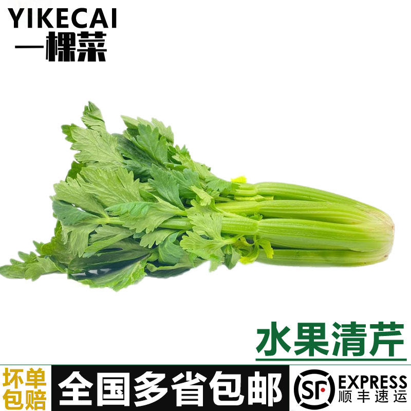 【YIKECAI】新鲜水果西芹250g/颗 荷兰清芹榨汁生吃沙拉蔬菜清甜