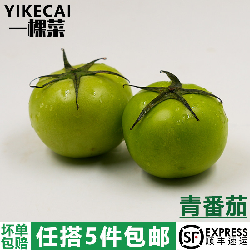 新鲜青番茄500g青西红柿绿色番茄清甜酒店餐厅炒菜腌制商用食材