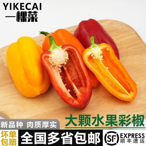 基地直发新鲜直达顺丰包邮