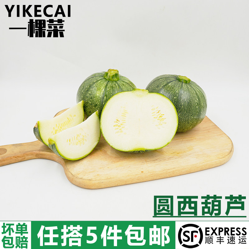 圆形西葫芦2斤约2个 新鲜蔬菜短蔓嫩南瓜倭瓜绿皮青瓜地雷瓜素瓜