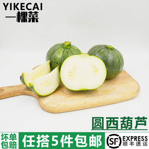 新鲜圆形西葫芦2斤水煮菜蘸水