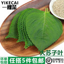新鲜苏子叶100g东北紫苏叶大苏子叶韩国烤肉包饭泡菜 YIKECAI
