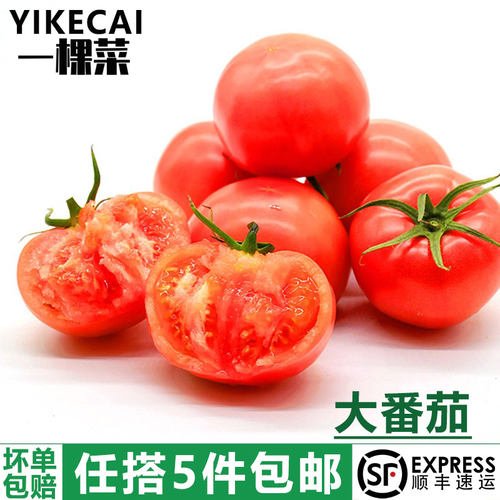西红柿500g新鲜大番茄沙瓤
