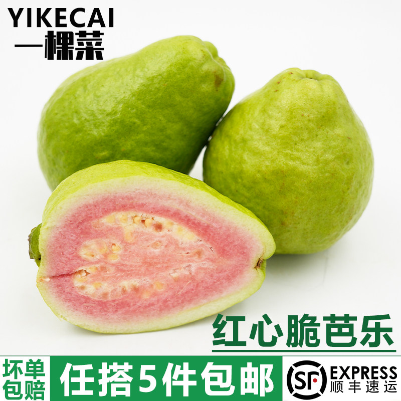 西瓜红脆芭乐番石榴新鲜榨汁搭配健身水果捞红心芭乐 5件顺丰包邮,水产肉类/新鲜蔬果/熟食,番石榴/芭乐,淘宝优惠券,粉丝福利购,淘宝优惠卷