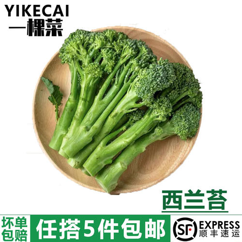 西兰苔新鲜西兰花甜杆青花苔