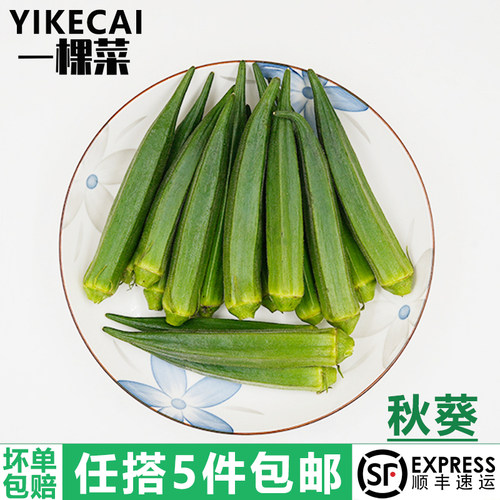 秋葵500g新鲜黄秋葵六角羊角豆