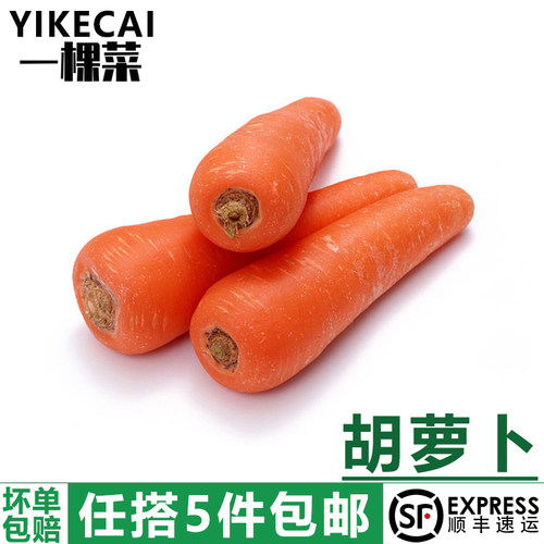 500g水萝卜脆甜生吃红心沙地罗卜