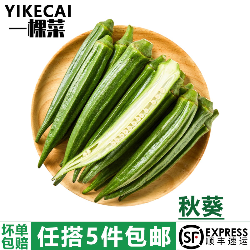秋葵500g新鲜黄秋葵六角羊角豆