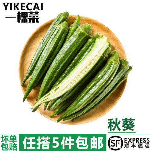 秋葵500g新鲜黄秋葵六角羊角豆