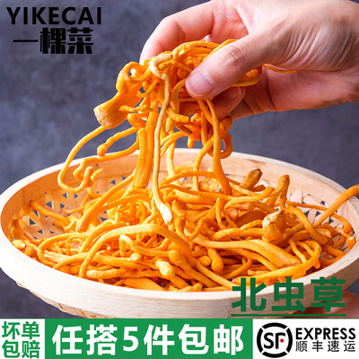 新鲜北虫草500g孢子头汤料