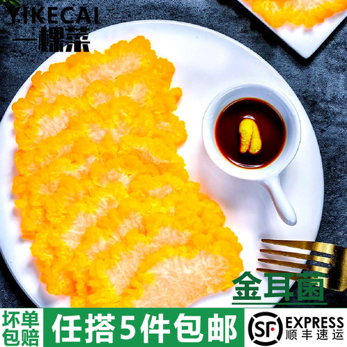 新鲜金耳菌火锅煲汤低脂早餐优选