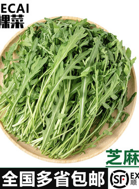 【YIKECAI】芝麻菜500-2500g 新鲜蔬菜沙拉食材 生菜 西餐 火箭菜