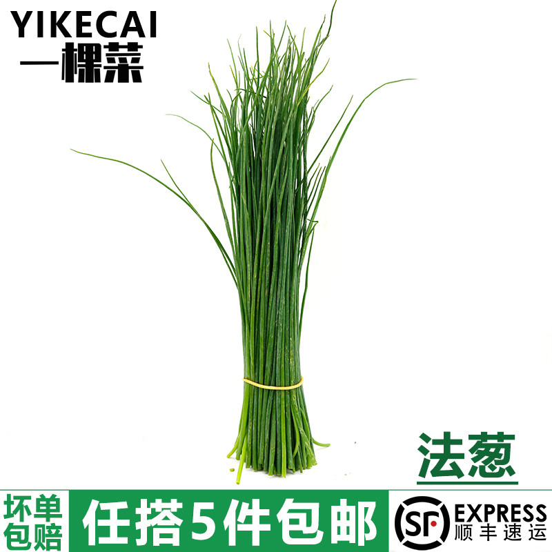 欧法葱50g新鲜细香葱沙拉