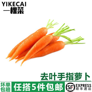 去叶迷你手指萝卜500g细胡萝卜西餐配菜宝宝辅食沙拉食材5件 包邮