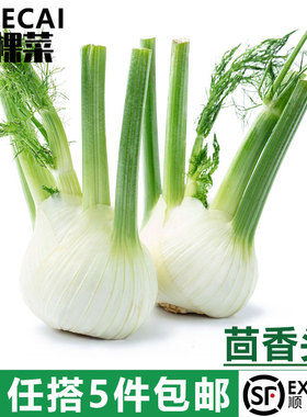 【YIKECAI】茴香头500g 新鲜茴香根茴香球茎 西餐料理香料食材