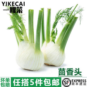 茴香头新鲜茴香根球茎西餐西餐