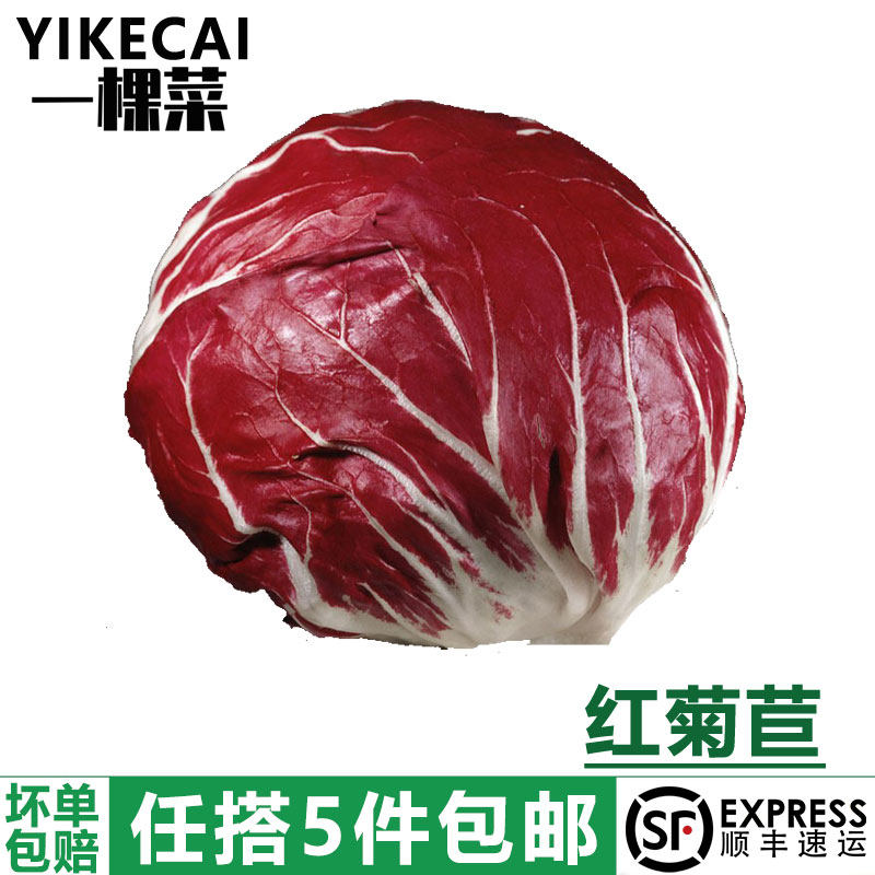 【YIKECAI】红菊苣500g 落地红球 新鲜蔬菜沙拉食材西餐配菜紫苣,水产肉类/新鲜蔬果/熟食,叶菜类,淘宝优惠券,粉丝福利购,淘宝优惠卷