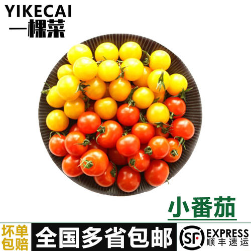YIKECAI樱桃小番茄400g/盒