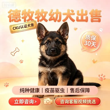 纯种德国牧羊犬幼犬活体黑背弓背德牧幼犬大型护卫犬看家狗狗