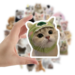 120张网红可爱猫咪超萌写实贴纸小动物趣味治愈系手帐贴手机行李箱装饰防水贴画手机壳iPad可爱小猫装饰图案