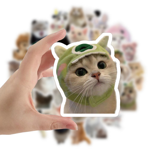 120张网红可爱猫咪超萌写实贴纸小动物趣味治愈系手帐贴手机行李箱装饰防水贴画手机壳iPad可爱小猫装饰图案