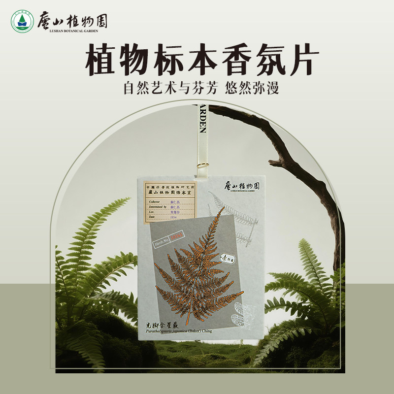 【庐山植物园文创】植物标本雅木漾柑香氛片