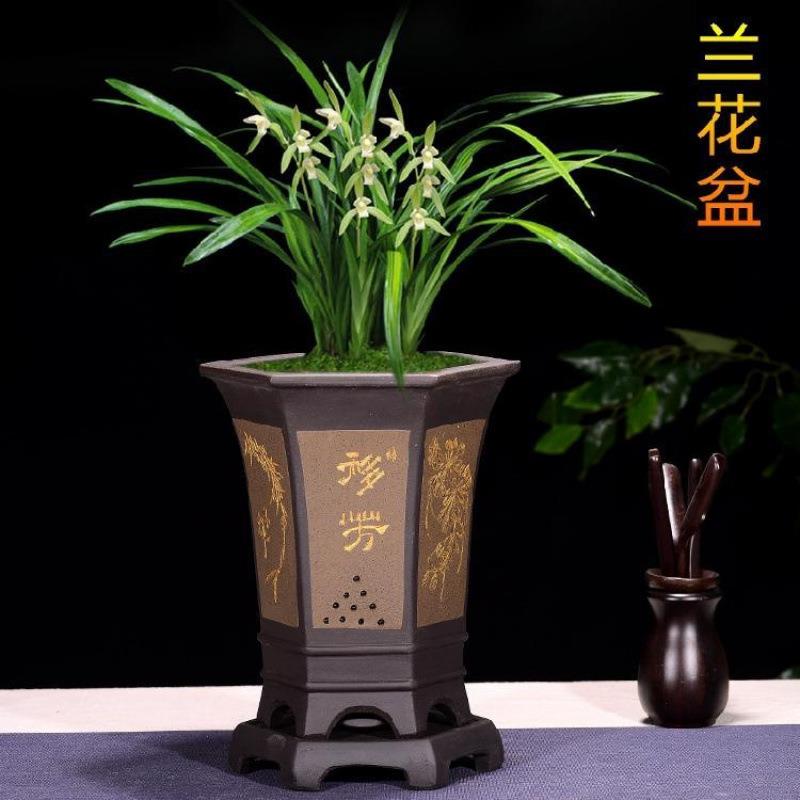 精品紫砂花盆兰花大全君子兰盆六方专用盆瓷墨兰大花高档兰盆