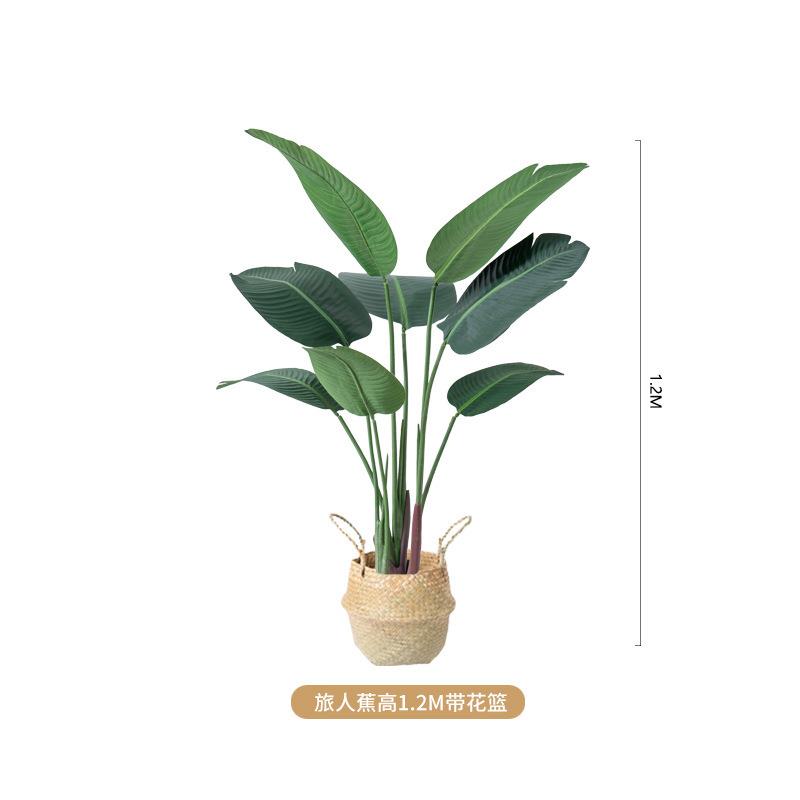 植物北欧绿植大型鸟旅人蕉散尾葵盆栽摆件客厅室内装饰
