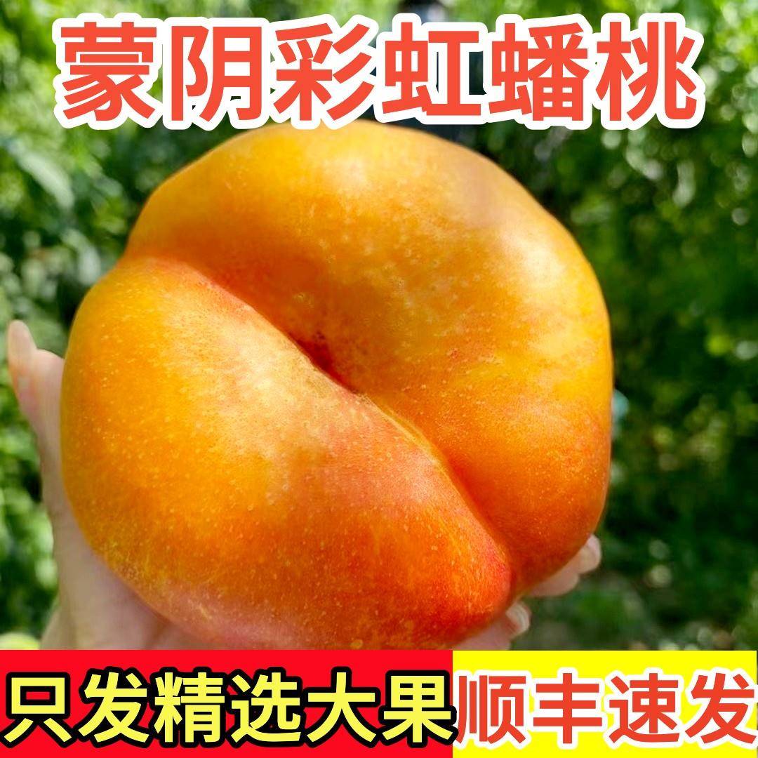 黄金油蟠桃新鲜水果当季整箱应季孕妇扁桃子山东蒙阴脆甜彩虹蟠桃